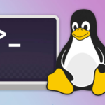 how to find a file in Linux