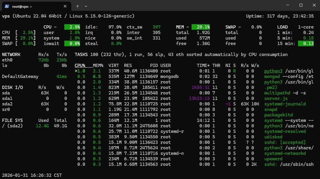 Developer managing a Linux VPS server for web applications