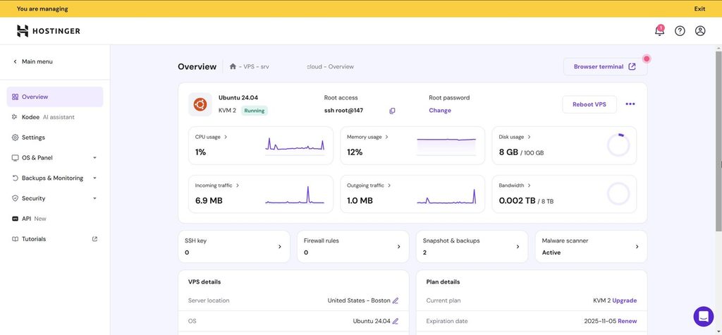 Developer managing a Linux VPS server for web applications